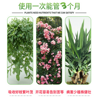 溶智速效三元复合肥氮磷钾花肥家用养花盆栽通用蔬菜颗粒缓释化肥500g/瓶