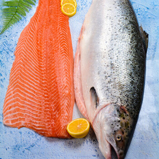 渔传播 挪威进口冰鲜三文鱼整条（大西洋鲑）6-7公斤 一条