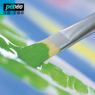 贝碧欧(Pebeo)水粉颜料 彩绘手绘墙绘儿童创意涂鸦颜料1L装 钴蓝色