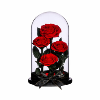 【rosequeen永生花】rosequeen 永生花玫瑰鲜花玻璃罩礼盒生日礼物送