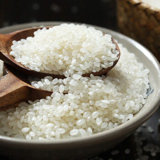 皇阳 优质东北大米 珍珠米 粳米 寿司专用米5kg