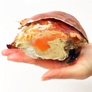 商品clearwater/北极清水 英国进口熟冻面包蟹/黄金蟹 大螃蟹 800