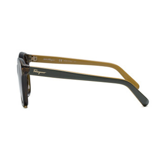 菲拉格慕（Ferragamo）时尚个性太阳镜女款咖色全框墨镜 SF834S 323 55mm