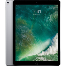 苹果Apple 12.9" iPad Pro (Mid 2017, 512GB, Wi-Fi + 4G LTE, Space Gray)