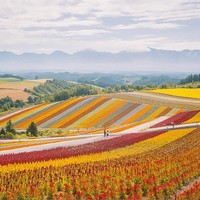 自由行：上海-日本北海道札幌5天4晚（直飞往返+多酒店可选 ）