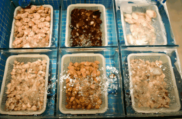 畅吃！4种口味小龙虾+数10海鲜刺身 上海环球港凯悦酒店自助晚餐