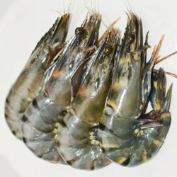 猫二郎 越南黑虎虾  每件约850g 2件 *2件