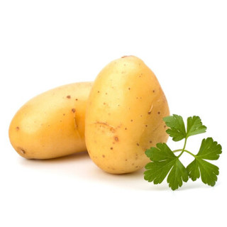 【潍坊馆】山东特产荷兰土豆 马铃薯 洋芋 新鲜蔬菜 小果4.5kg（2两以下）