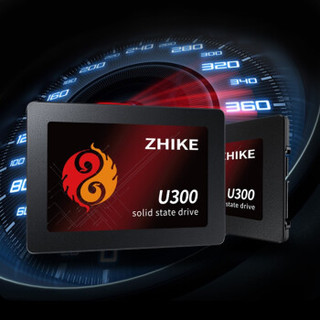 ZHIKE 挚科 U300系列 SATA 固态硬盘 480GB