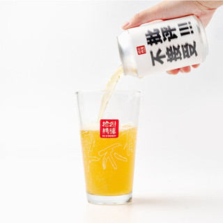 拾捌精酿 精酿啤酒 不接受批评社交IPA啤酒 330ml*6罐