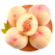 正宗阳山水蜜桃 12个精选大果 单果约200-250g 鲜桃子 新鲜水果