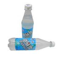 GANGJIN 港进 四川特产峨眉雪荔枝果味饮料 (500ml*12、荔枝果味)