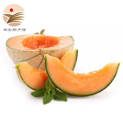 新疆西州蜜哈密瓜 共约7-8斤 2个装