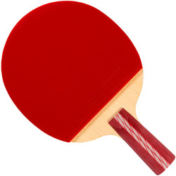 红双喜DHS 乒乓球成品拍四星直拍底板R4006 双面反胶弧圈结合快攻(单拍)