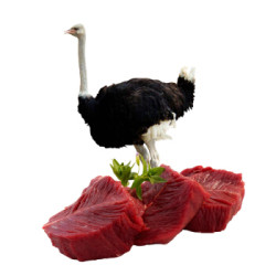 依禾农庄鸵鸟肉生鲜野味农家散养鸵鸟腿肉1kg装烧烤食材顺丰冷链