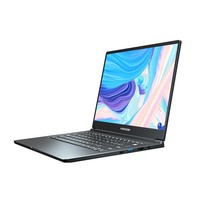 Hasee 神舟 精盾U45A1 畅玩版 14英寸笔记本电脑（i5-8265U、8GB、512GB、MX250）