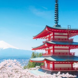 日签个人旅游签证,上海/北京领区单次/三年五年多次,闪电出签,极简办理,新政简化 单次-五万在职简化