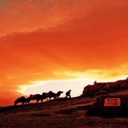 全国多地-宁夏银川+中卫沙坡头5天4晚自由行