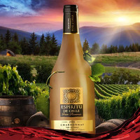 ESPIRITU DE CHILE 挚灵智利进口特级珍藏莎当妮2015白葡萄酒 750ml 13%vol. 特别珍藏级