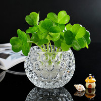 宝兰晶 玻璃水培花瓶 7.5*10cm 不含植物
