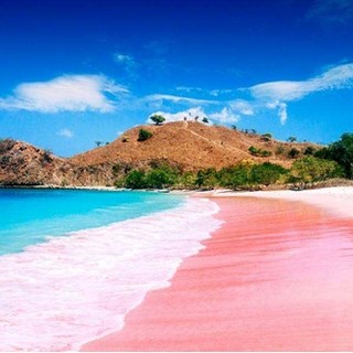 粉色沙滩！看大蜥蜴！全国多地-印度尼西亚巴厘岛+科莫多岛8天6晚半自助游