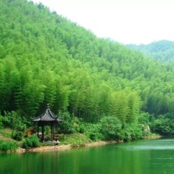 吸深氧、吃鱼头!溧阳华府智选假日酒店2晚+双早+南山竹海门票*2/鱼头套餐
