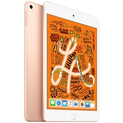 Apple 苹果 新iPad mini 7.9英寸平板电脑 WLAN版 256GB