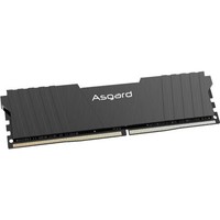 Asgard 阿斯加特 洛极 T2系列 DDR4 2666MHz 台式机内存 马甲条 黑色 32GB