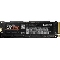 SAMSUNG 三星 960 M.2 固态硬盘 2280NGFF SSD pcie接口 960 EVO 500G