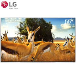 LG E9 OLED55E9PCA 55英寸 4K OLED电视