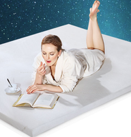 Sleep Science美国睡眠科学淡蓝凝胶记忆棉床垫床褥子