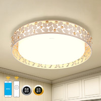 欧普照明 LED卧室吸顶灯具 现代时尚浪漫温馨房间水晶灯饰WS