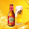 塞尔多夫拉格 进口精酿啤酒 250ml *20瓶