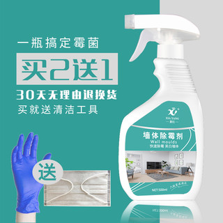 XIAYANG 夏阳 白墙霉菌清洁剂 (500ml)