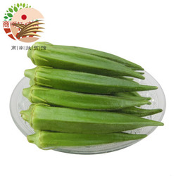 新鲜蔬菜 新鲜黄秋葵六角豆 水果秋葵 1.5kg