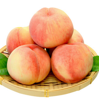 阳山 水蜜桃 8两-9两超大桃 6个礼盒装 净重5斤多  