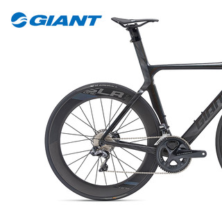 GIANT 捷安特 901069 Propel Adv SL 1 Disc 专业竞技 公路自行车