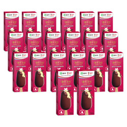 蒙牛 蒂兰圣雪 香草巧克力口味60g×20盒×1箱