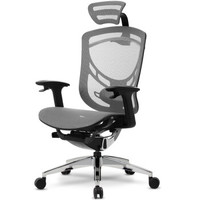 Ergoup 人体工学电脑椅 灰色