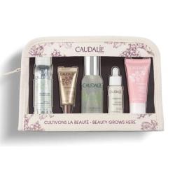 CAUDALIE 欧缇丽 护肤5件套( 冰淇淋霜15ml+卸妆水30ml+皇后水30ml+精华液10ml+眼霜5ml)