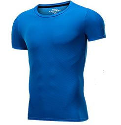FANDIMU 范迪慕 健身服男运动跑步紧身衣篮球足球长袖T恤上衣训练 FNZ9008-彩兰色-单件短袖-M