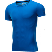 FANDIMU 范迪慕 健身服男运动跑步紧身衣篮球足球长袖T恤上衣训练 FNZ9008-彩兰色-单件短袖-M