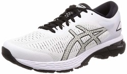 asics kayano 25 男子运动鞋