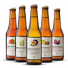 Rekorderlig Cider/瑞可德林西打酒 水果酒  330ML