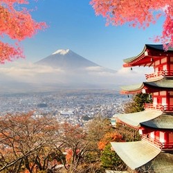 日本旅游第一站！中秋、元旦红叶季有票！全国多地-大阪/东京