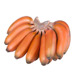 福建红皮香蕉 美人蕉 5斤