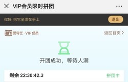 VIP会员限时拼团