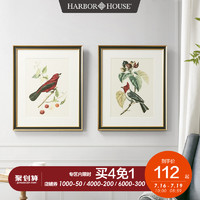 Harbor House花鸟植物装饰画客餐厅卧室玄关壁挂画墙画Symphonic