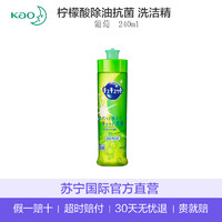 （包邮包税）花王(KAO) 日本进口 柠檬酸洗洁精 除细菌去油污 葡萄 240ml 瓶装 *3件