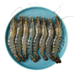 翔泰 越南活冻黑虎虾 350g(14-20只) *6件